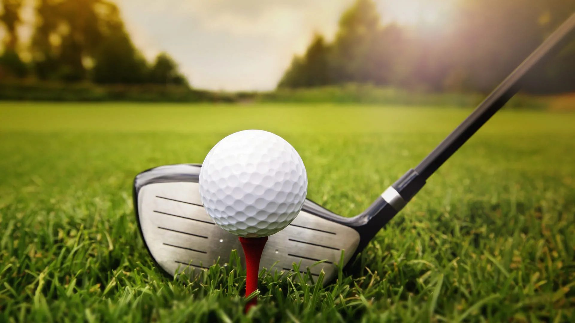 Golfball auf einem Tee mit einem Schläger daneben im Gras